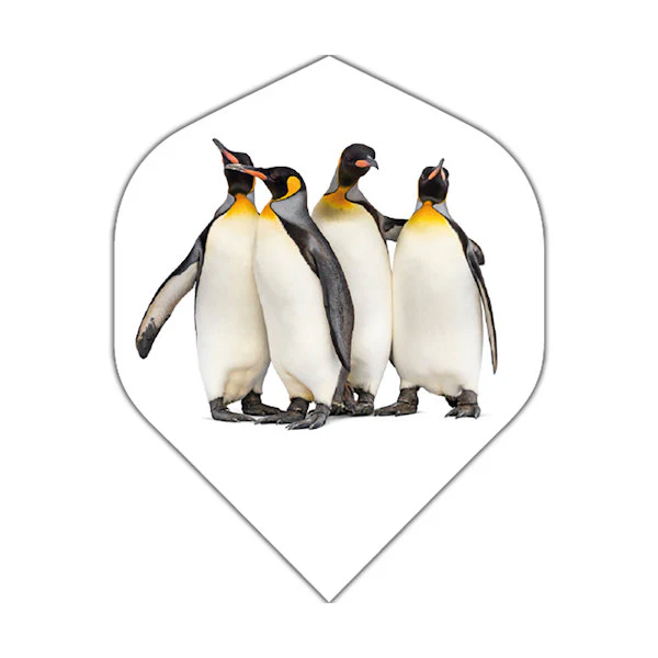 Penguins - Click Image to Close