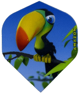 Toucan - Click Image to Close