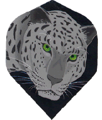Poly Grey Leopard Green Eyes Reg