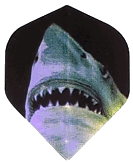 Holo Blue Shark Mouth /Black