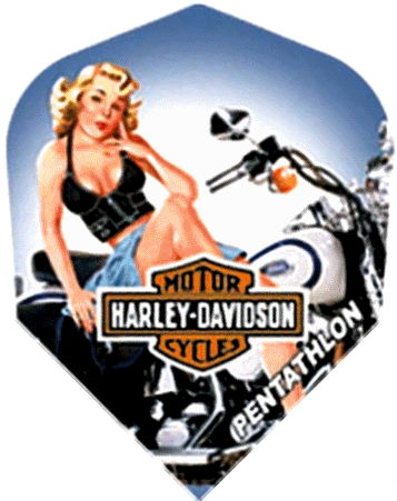 Harley Davidson Punup Rita